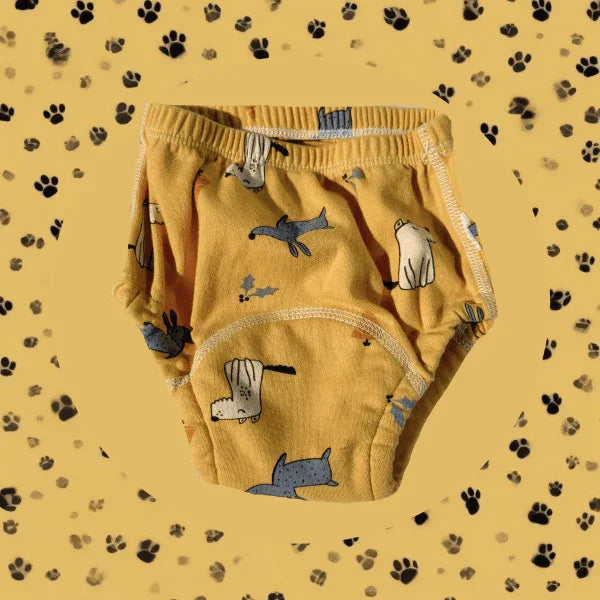 PeeWee Pants™ Potty Training Underwear